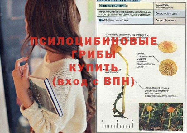 амфетамин Липки