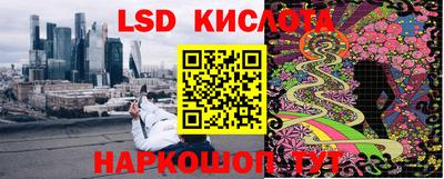 спиды Свободный