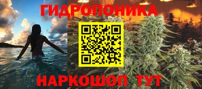 спиды Свободный